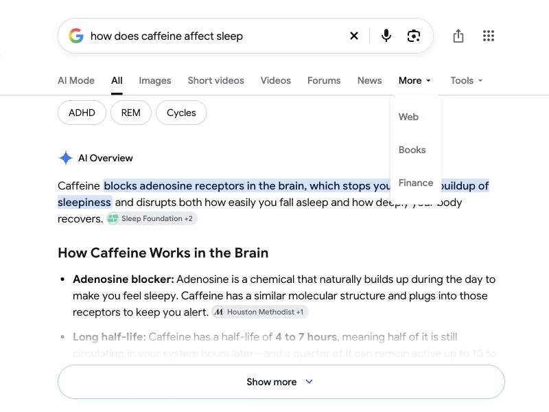 Google More menu open with the Web option listed above Books and Finance