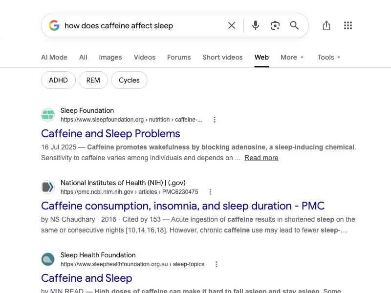Google Web results for the same search with no AI Overview, the Web tab selected